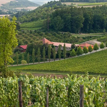 Benz Weingut&weinhotel Lauda-Königshofen