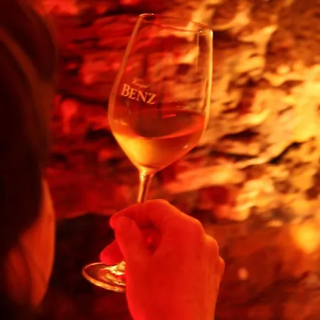 Hotel Benz Weingut&weinhotel