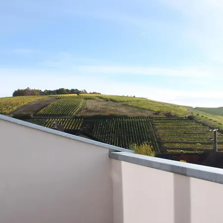 Benz Weingut&weinhotel Hotel Lauda-Königshofen