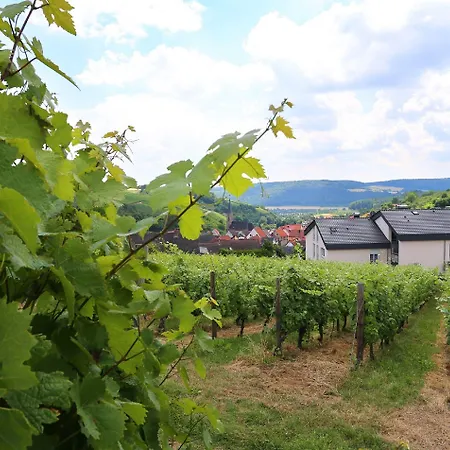 Hotel Benz Weingut & Weinhotel