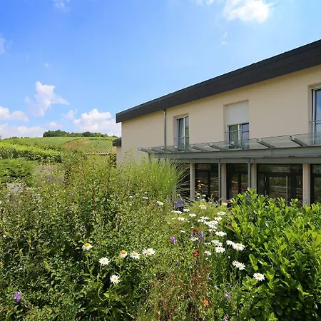 Benz Weingut & Weinhotel * 劳达·康宁思霍芬