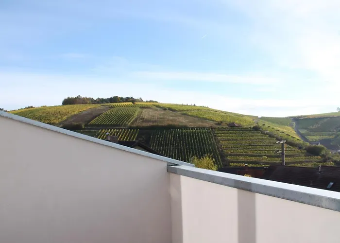 Benz Weingut & Weinhotel Отель Лауда-Кёнигсхофен