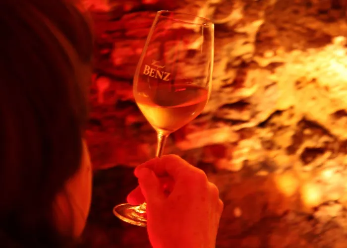 Отель Benz Weingut & Weinhotel Лауда-Кёнигсхофен