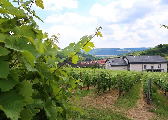 Отель Benz Weingut & Weinhotel