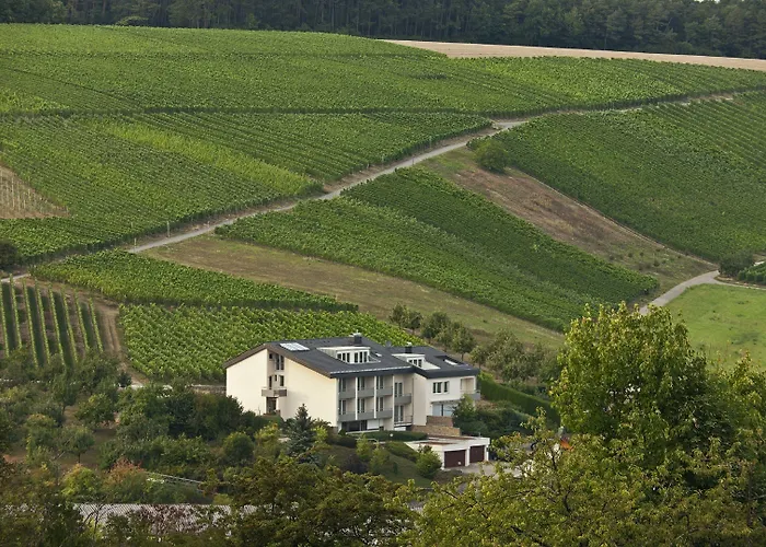 Benz Weingut & Weinhotel Отель *