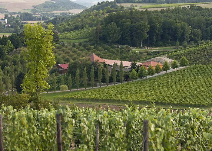 Benz Weingut & Weinhotel Hotel *