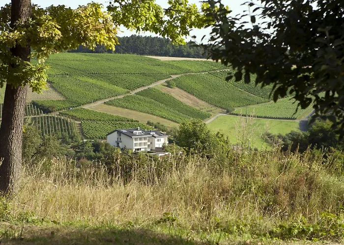 Отель Benz Weingut & Weinhotel Лауда-Кёнигсхофен